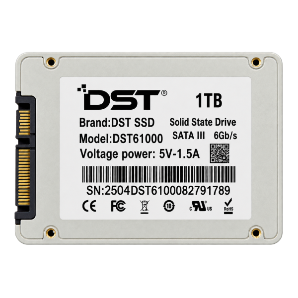 SSD DST 1TB SATA III 2.5 Inch Internal Solid State Drive 6Gb/s – DST61000