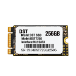 SSD DST M.2 SATA 256GB Internal Solid State Drive