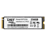 SSD DST M.2 NVMe 256GB PCIe Internal Solid State Drive untuk Laptop PC – DST5256