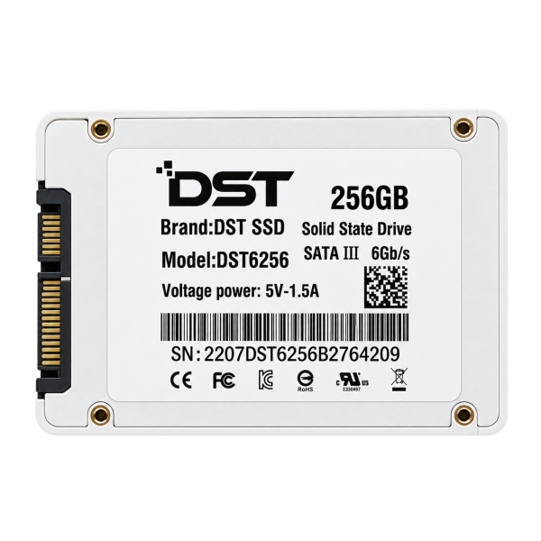 SSD DST 256GB SATA III 2.5 Inch Internal Solid State Drive 6Gb/s